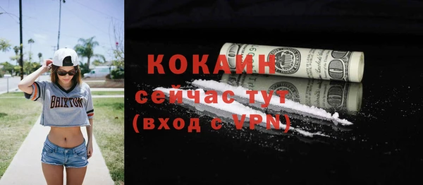 ГАЛЛЮЦИНОГЕННЫЕ ГРИБЫ Гусев