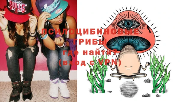 ГАЛЛЮЦИНОГЕННЫЕ ГРИБЫ Гусев