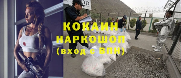 прущие грибы Гусь-Хрустальный