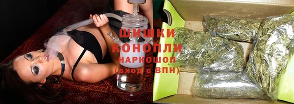 ГАЛЛЮЦИНОГЕННЫЕ ГРИБЫ Гусев