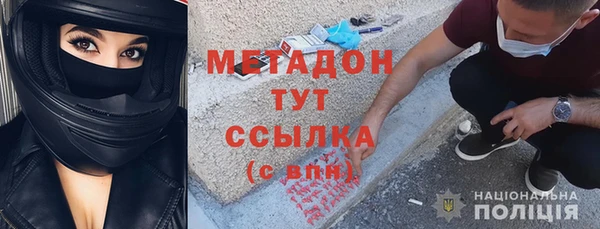 прущие грибы Гусь-Хрустальный