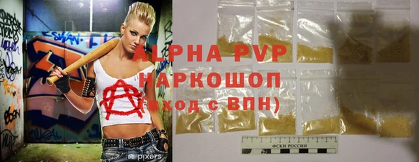 ГАЛЛЮЦИНОГЕННЫЕ ГРИБЫ Гусев