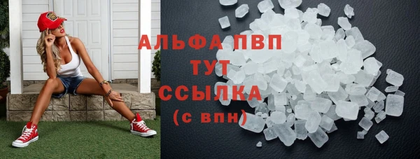 прущие грибы Гусь-Хрустальный