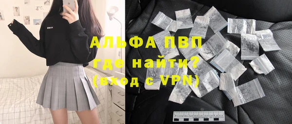 прущие грибы Гусь-Хрустальный