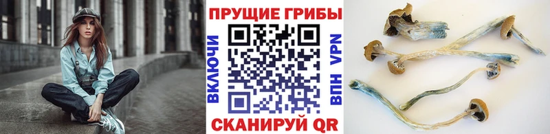 Купить где  Заволжск  Псилоцибиновые грибы ЛСД 